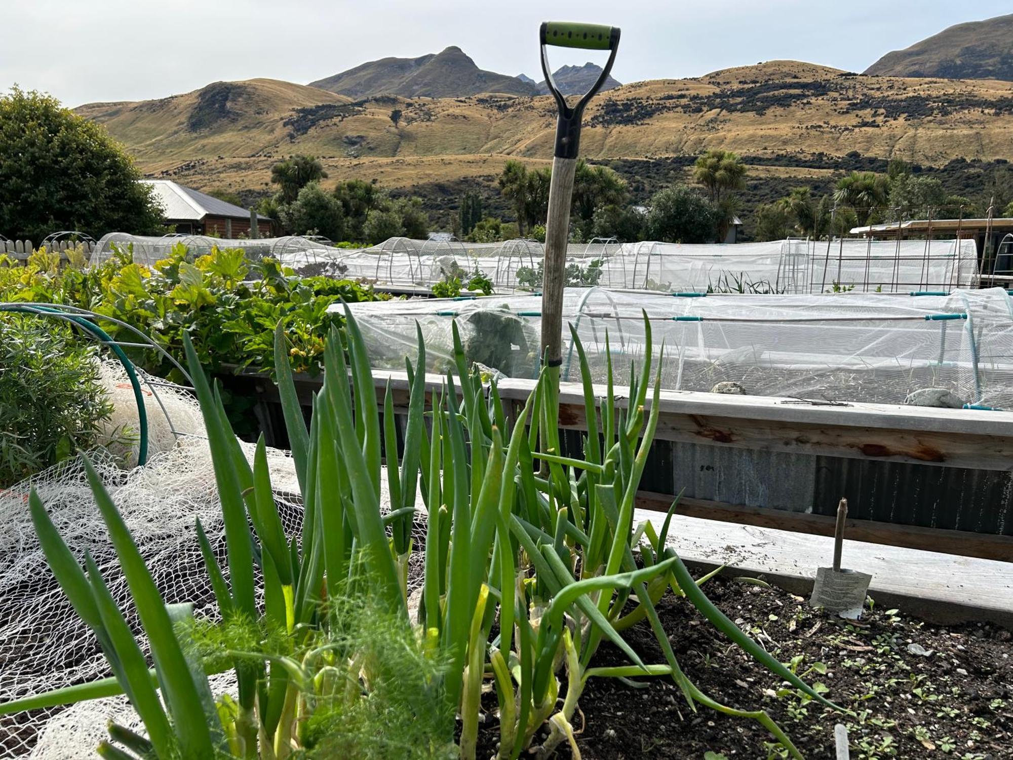 The Headwaters Eco 2* Glenorchy